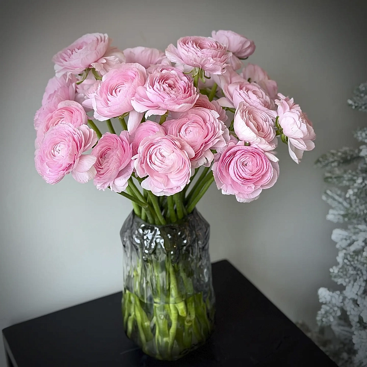 Пачка ранункулюс розовых оптом №2259